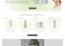 design shopify ecommerce website, build shopify online store
